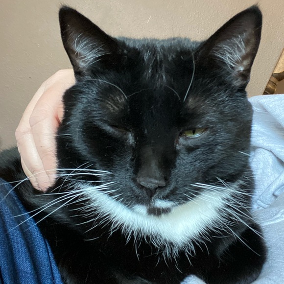 Meet your Posher, Sandi ☀️ - Picture 8 of 8